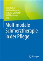 Günther Bernatzky, Bärbl Buchmayr, Svetlana Geyrhofer, Svetlana Geyrhofer u a, Rudolf Likar - Multimodale Schmerztherapie in der Pflege