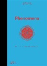 The Shelf Company, Camille Juzeau, The Shelf Company - Phenomena