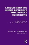 D. Boddy, David Boddy, J. Brack, Brack J., J. A. Diack, N. Jones... - Labour Markets Under Different Employment Conditions