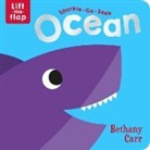 Katie Button, Bethany Carr - Sparkle-Go-Seek Ocean