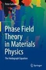 Peter Galenko - Phase Field Theory in Materials Physics