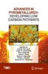 Joalet D Steenkamp, Camille Fleuriault, Dean Gregurek, Dean Gregurek et al, Susanna A. C. Hockaday, Susanna A.C. Hockaday... - Advances in Pyrometallurgy