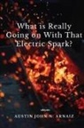 Austin John N. Arnaiz - What is Really Going on With That Electric Spark?