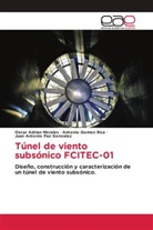 Antonio Gomez Roa, Oscar Adrian Morales, Juan Antonio Paz Gonzalez - Túnel de viento subsónico FCITEC-01