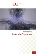Abdelhafid Mimouni - Essor du Cisplatine