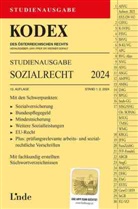 Elisabeth Brameshuber, Werner Doralt - KODEX Studienausgabe Sozialrecht 2024