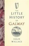 Colm Wallace - The Little History of Galway