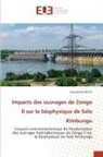 Dieudonné Muta - Impacts des ouvrages de Zongo II sur le biophysique de Selo Kimbungu