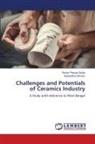 Bappaditya Biswas, Rohan Prasad Gupta - Challenges and Potentials of Ceramics Industry