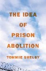 Tommie Shelby, Shelby Tommie - Idea of Prison Abolition