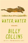 Billy Collins - Water, Water