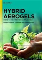 Krunal M. Gangawane, Krunal M Gangawane, Panda, Debabrata Panda - Hybrid Aerogels