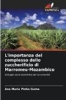 Ana Maria Pinho Guina - L'importanza del complesso dello zuccherificio di Marromeu-Mozambico
