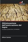 Gilson Santos - Ottimizzazione dell'essiccazione del legno