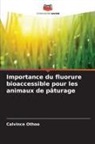 Calvince Othoo - Importance du fluorure bioaccessible pour les animaux de pâturage