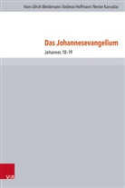 Andreas Hoffmann, Kavvadas, Nestor Kavvadas, Hans-Ulrich Weidemann, Harald Buchinger, Andreas Merkt... - Das Johannesevangelium
