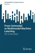 Blaz Skrlj - From Unimodal to Multimodal Machine Learning