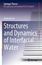 Duanyun Cao - Structures and Dynamics of Interfacial Water