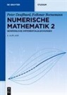 Folkmar Bornemann, Peter Deuflhard - Numerische Mathematik - [Band] 2 2: Gewöhnliche Differentialgleichungen