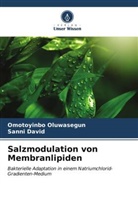 Sanni David, Omotoyinbo Oluwasegun - Salzmodulation von Membranlipiden