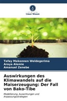 Araya Alemie, Tefay Mekonnen Weldegerima, Zenebe, Amanuel Zenebe - Auswirkungen des Klimawandels auf die Maiserzeugung: Der Fall von Bako-Tibe