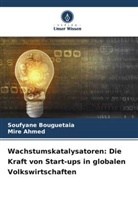 Mire Ahmed, Soufyane Bouguetaia - Wachstumskatalysatoren: Die Kraft von Start-ups in globalen Volkswirtschaften