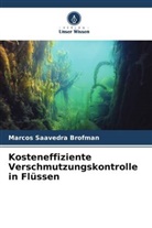 Marcos Saavedra Brofman - Kosteneffiziente Verschmutzungskontrolle in Flüssen