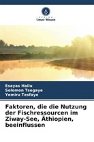 Esayas Hailu, Yemiru Tesfaye, Solomon Tsegaye - Faktoren, die die Nutzung der Fischressourcen im Ziway-See, Äthiopien, beeinflussen