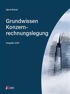 Gerrit Brösel - Grundwissen Konzernrechnungslegung