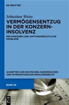 Sebastian Weiß - Vermögensentzug in der Konzerninsolvenz