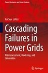 Kai Sun - Cascading Failures in Power Grids