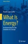 Ricardo Lopes Coelho - What Is Energy?