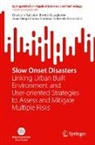 Gabriele Bernardini, Blanco Cade, Juan Diego Blanco Cadena, Enrico Quagliarini, Graziano Salvalai - Slow Onset Disasters