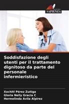 Hermelinda Avila Alpirez, Gloria Nelly Gracia C, Xochitl Pérez   Zuñiga, Xochitl Pérez Zuñiga - Soddisfazione degli utenti per il trattamento dignitoso da parte del personale infermieristico