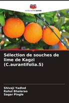 Rahul Bhalerao, Sagar Pingle, Shivaji Yadlod - Sélection de souches de lime de Kagzi (C.aurantifolia.S)