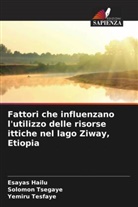 Esayas Hailu, Yemiru Tesfaye, Solomon Tsegaye - Fattori che influenzano l'utilizzo delle risorse ittiche nel lago Ziway, Etiopia