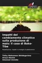 Araya Alemie, Tefay Mekonnen Weldegerima, Amanuel Zenebe - Impatti del cambiamento climatico sulla produzione di mais: Il caso di Bako-Tibe