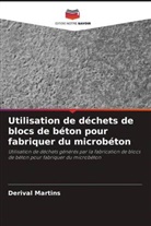 Derival Martins - Utilisation de déchets de blocs de béton pour fabriquer du microbéton