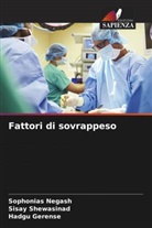 Hadgu Gerense, Sophonias Negash, Sisay Shewasinad - Fattori di sovrappeso