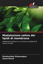 Sanni David, Omotoyinbo Oluwasegun - Modulazione salina dei lipidi di membrana