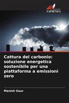 Manish Gaur - Cattura del carbonio: soluzione energetica sostenibile per una piattaforma a emissioni zero