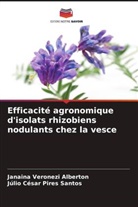 Júlio César Pires Santos, Janaina Veronezi Alberton - Efficacité agronomique d'isolats rhizobiens nodulants chez la vesce