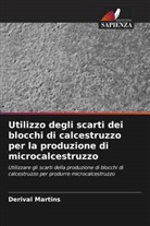 Derival Martins - Utilizzo degli scarti dei blocchi di calcestruzzo per la produzione di microcalcestruzzo