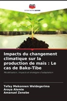 Araya Alemie, Tefay Mekonnen Weldegerima, Amanuel Zenebe - Impacts du changement climatique sur la production de maïs : Le cas de Bako-Tibe