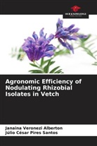 Júlio César Pires Santos, Janaina Veronezi Alberton - Agronomic Efficiency of Nodulating Rhizobial Isolates in Vetch