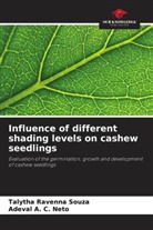 Adeval A. C. Neto, Talytha Ravenna Souza - Influence of different shading levels on cashew seedlings