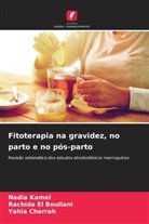Yahia Cherrah, Rachida El Boullani, Nadia Kamel - Fitoterapia na gravidez, no parto e no pós-parto
