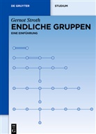 Gernot Stroth - Endliche Gruppen