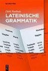 Dirk Panhuis - Lateinische Grammatik