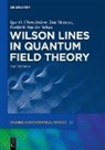 Igor Olegovich Cherednikov, Tom Mertens, Van der V, Frederik Van der Veken, Frederik van der Veken - Wilson Lines in Quantum Field Theory